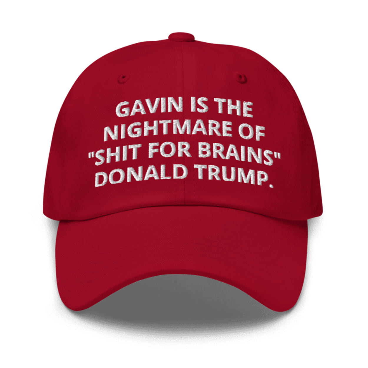 Gavin Is The Nightmare Of Shit For Brains Donald Trump Hat