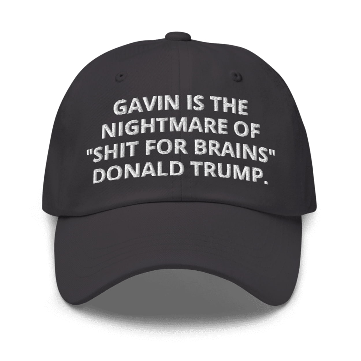 Gavin Is The Nightmare Of Shit For Brains Donald Trump Hat